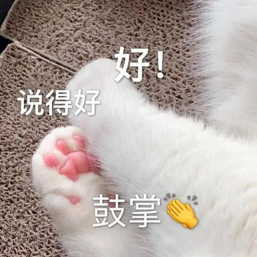 就是要亲亲啊不是我没钱而是我玩了火影火影你懂吗(熊猫头表情包)探头