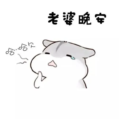 仓鼠表情包:我老婆穿什么都好看