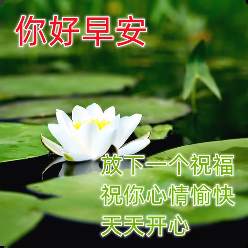 超级漂亮的美女早安动态表情图片最美早晨好问候动态图片表情