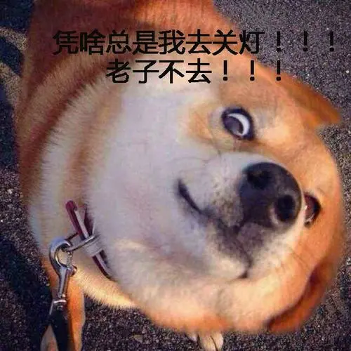 幽默搞笑的动物表情包图片宿舍专用表情头像