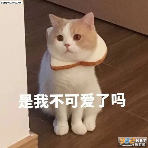是我不可爱了吗表情包图片-等一个朱一龙表情包下载-乐游网游戏下载
