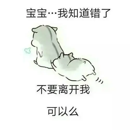 仓鼠表情包