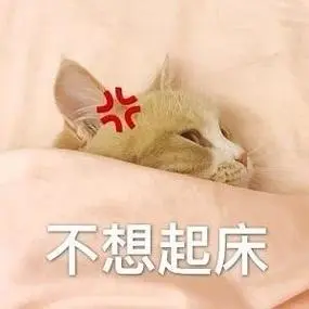 不想起床-猫咪喊起床表情包_猫咪_起床表情