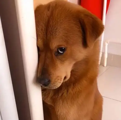 为什么说